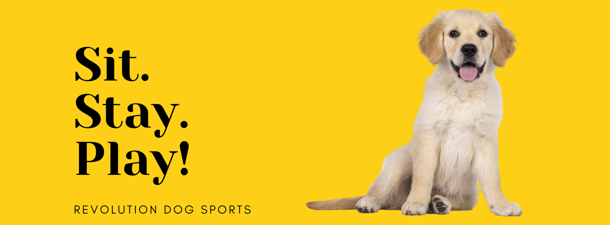 Revolution Dog Sports
